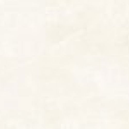 ELITE WHITE