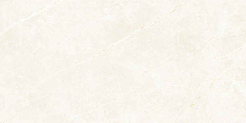 ELITE WHITE