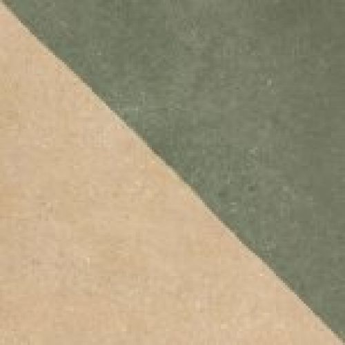MODUL PAJA VERDE