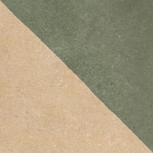 MODUL PAJA VERDE
